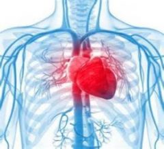 Heart Health
